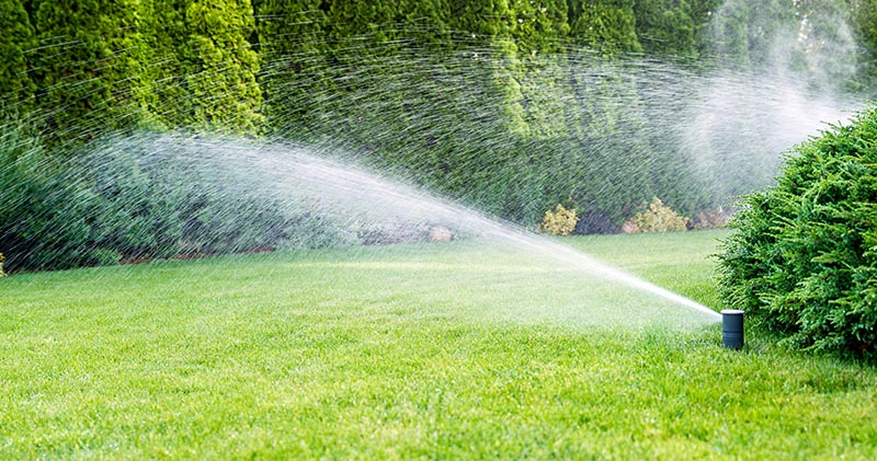 Watering Your Lawn During Drought Restrictions