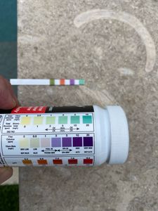 Pool Inspections