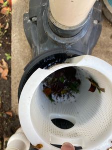 Pool Inspections