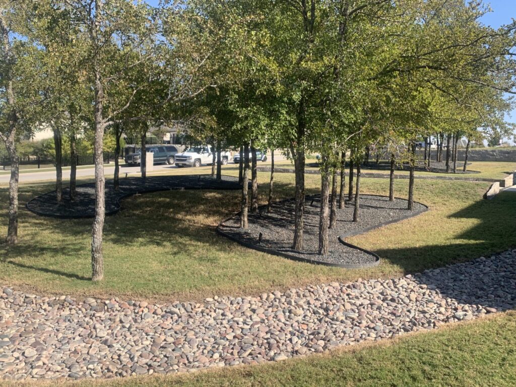 Texas Outdoor Oasis Landscaping